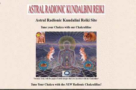 Screen shot of website created on Triplod.com
